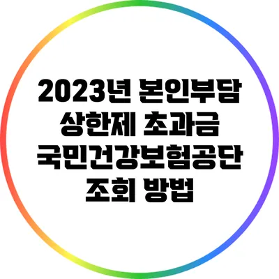 2023년 본인부담 상한제 초과금 국민건강보험공단 조회 방법