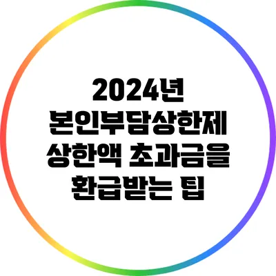 2024년 본인부담상한제: 상한액 초과금을 환급받는 팁
