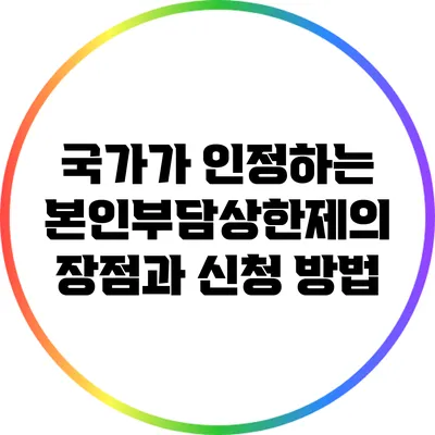 국가가 인정하는 본인부담상한제의 장점과 신청 방법