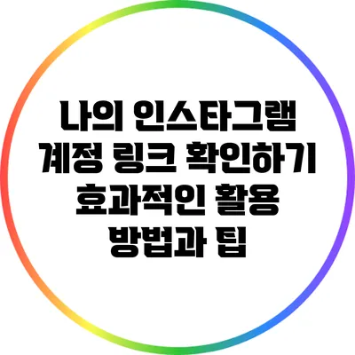 나의 인스타그램 계정 링크 확인하기: 효과적인 활용 방법과 팁