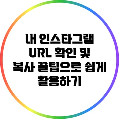 내 인스타그램 URL 확인 및 복사 꿀팁으로 쉽게 활용하기