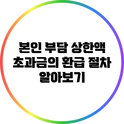 본인 부담 상한액 초과금의 환급 절차 알아보기