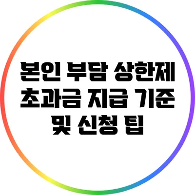 본인 부담 상한제 초과금 지급 기준 및 신청 팁