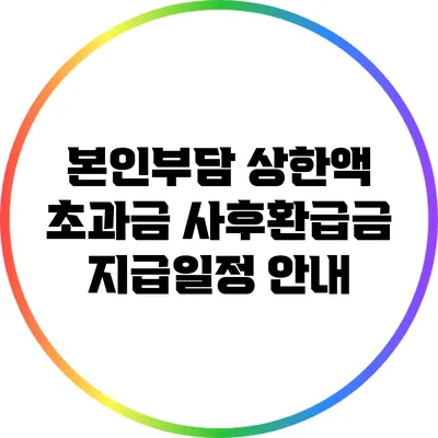 본인부담 상한액 초과금 사후환급금 지급일정 안내