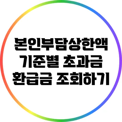 본인부담상한액 기준별 초과금 환급금 조회하기