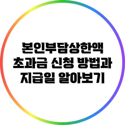 본인부담상한액 초과금 신청 방법과 지급일 알아보기
