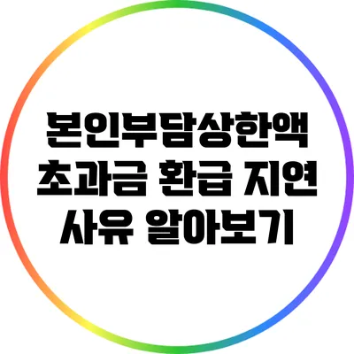 본인부담상한액 초과금 환급 지연 사유 알아보기
