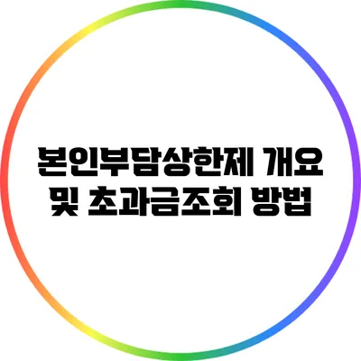 본인부담상한제 개요 및 초과금조회 방법