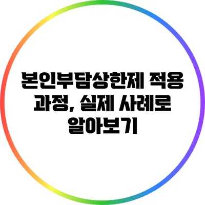 본인부담상한제 적용 과정, 실제 사례로 알아보기