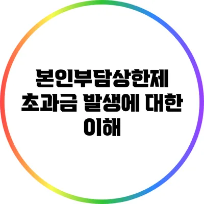 본인부담상한제 초과금 발생에 대한 이해