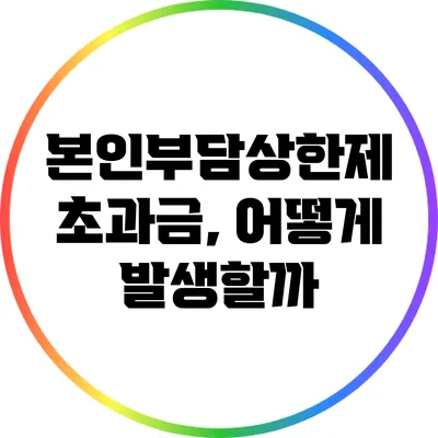 본인부담상한제 초과금, 어떻게 발생할까?