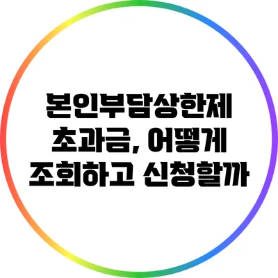 본인부담상한제 초과금, 어떻게 조회하고 신청할까?