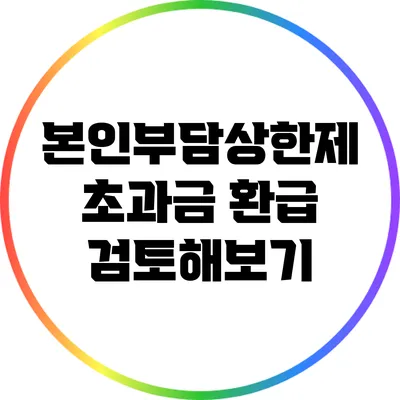 본인부담상한제 초과금 환급 검토해보기