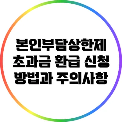 본인부담상한제 초과금 환급 신청 방법과 주의사항
