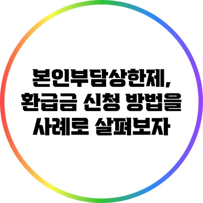 본인부담상한제, 환급금 신청 방법을 사례로 살펴보자