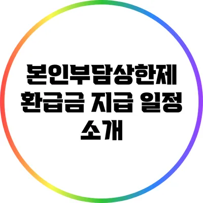 본인부담상한제 환급금 지급 일정 소개