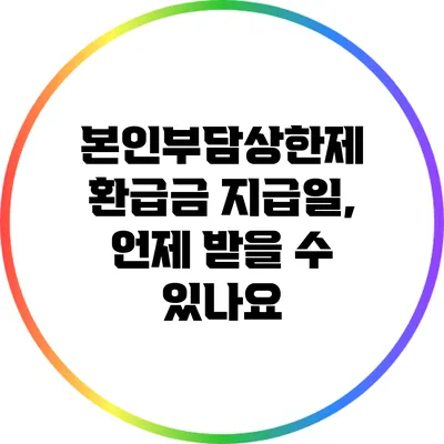 본인부담상한제 환급금 지급일, 언제 받을 수 있나요?