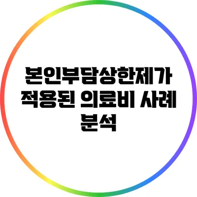 본인부담상한제가 적용된 의료비 사례 분석