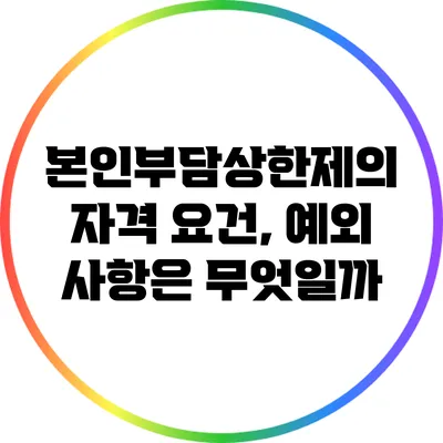 본인부담상한제의 자격 요건, 예외 사항은 무엇일까?