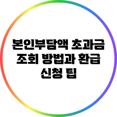본인부담액 초과금 조회 방법과 환급 신청 팁