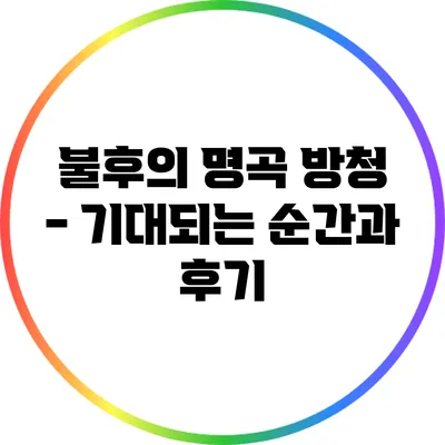 불후의 명곡 방청 - 기대되는 순간과 후기