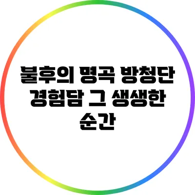 불후의 명곡 방청단 경험담: 그 생생한 순간
