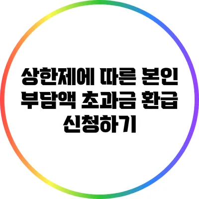 상한제에 따른 본인 부담액 초과금 환급 신청하기