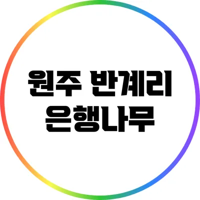 원주 반계리 은행나무