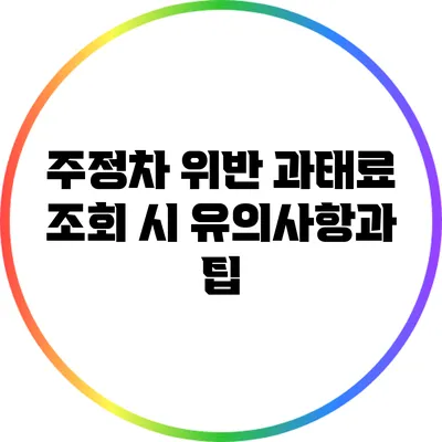 주정차 위반 과태료 조회 시 유의사항과 팁
