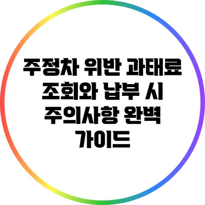 주정차 위반 과태료 조회와 납부 시 주의사항 완벽 가이드