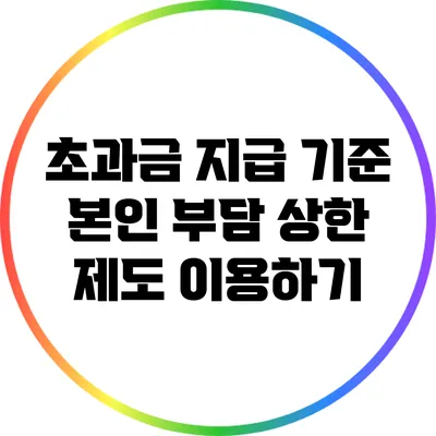 초과금 지급 기준: 본인 부담 상한 제도 이용하기