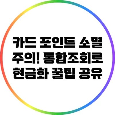 카드 포인트 소멸 주의! 통합조회로 현금화 꿀팁 공유
