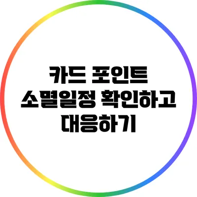 카드 포인트 소멸일정 확인하고 대응하기