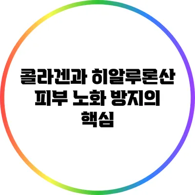 콜라겐과 히알루론산: 피부 노화 방지의 핵심