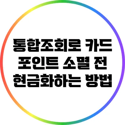 통합조회로 카드 포인트 소멸 전 현금화하는 방법