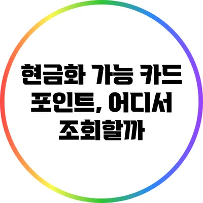 현금화 가능 카드 포인트, 어디서 조회할까?