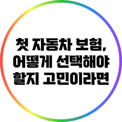 첫 자동차 보험, 어떻게 선택해야 할지 고민이라면?