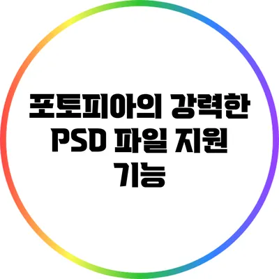 포토피아의 강력한 PSD 파일 지원 기능