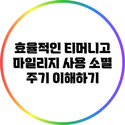 효율적인 티머니고 마일리지 사용 소멸 주기 이해하기
