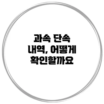 과속 단속 내역, 어떻게 확인할까요?
