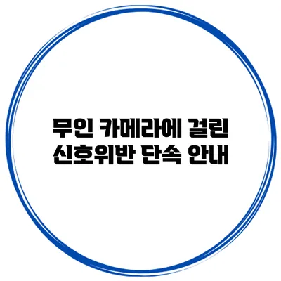 무인 카메라에 걸린 신호위반 단속 안내