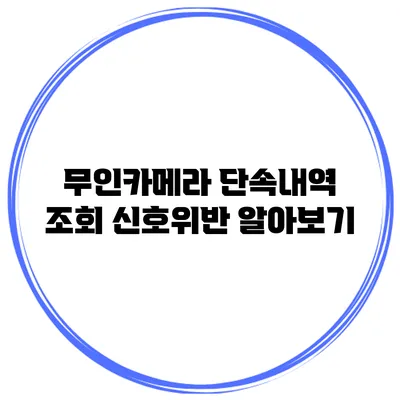 무인카메라 단속내역 조회 신호위반 알아보기