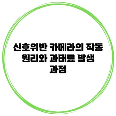 신호위반 카메라의 작동 원리와 과태료 발생 과정