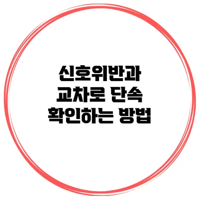 신호위반과 교차로 단속 확인하는 방법