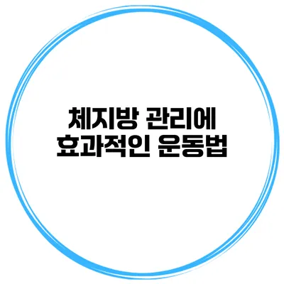 체지방 관리에 효과적인 운동법