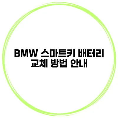 BMW 스마트키 배터리 교체 방법 안내