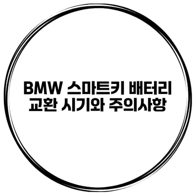 BMW 스마트키 배터리 교환 시기와 주의사항