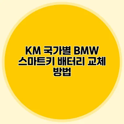 KM 국가별 BMW 스마트키 배터리 교체 방법