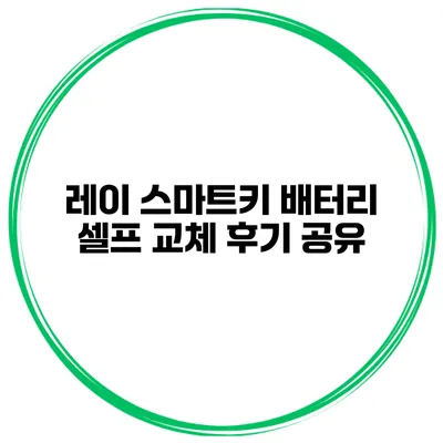 레이 스마트키 배터리 셀프 교체 후기 공유