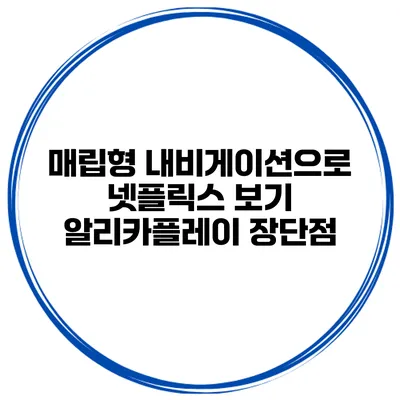 매립형 내비게이션으로 넷플릭스 보기 알리카플레이 장단점